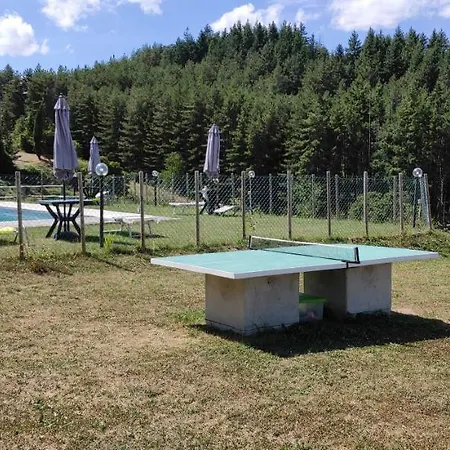 Farm stay Podere Omomorto