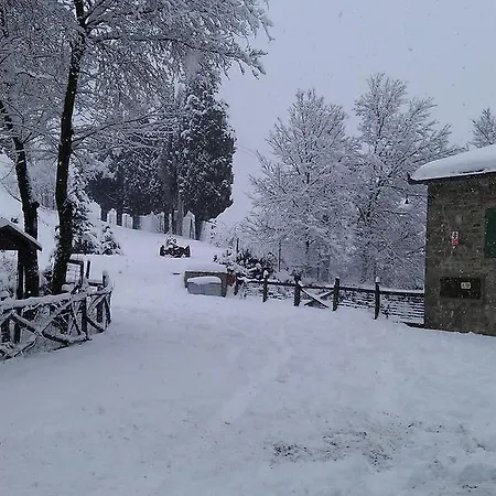 Podere Omomorto