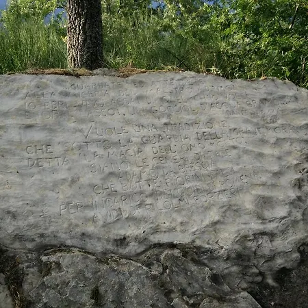 Podere Omomorto * Pratovecchio