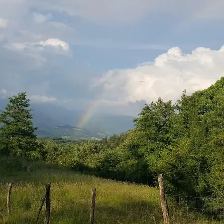 Podere Omomorto Pratovecchio