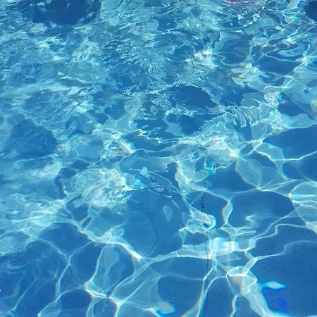 Podere Omomorto مزرعة للإقامة