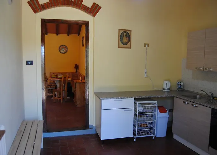 Podere Omomorto Gospodarstwo agroturystyczne