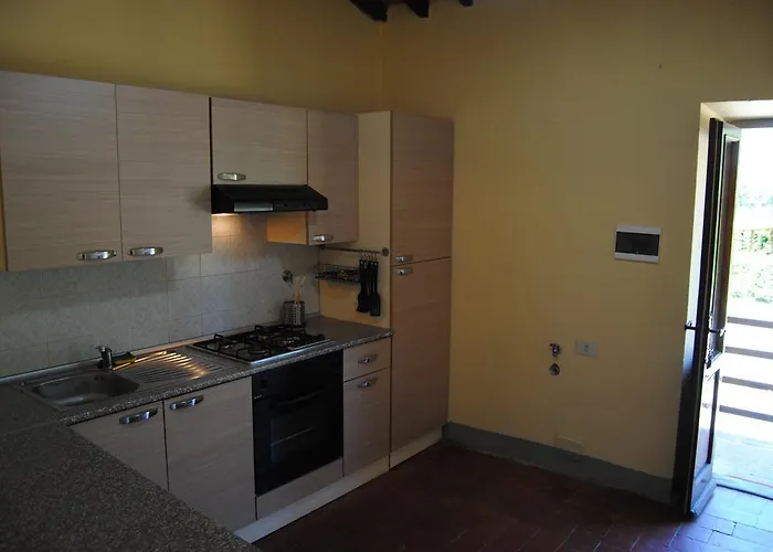 Podere Omomorto Gospodarstwo agroturystyczne *