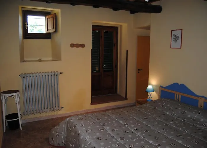 Podere Omomorto Gospodarstwo agroturystyczne Pratovecchio