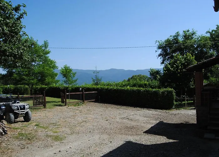 Podere Omomorto * Pratovecchio