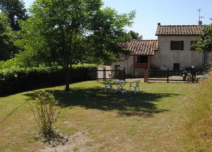 Podere Omomorto Gospodarstwo agroturystyczne