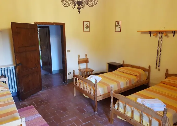 Podere Omomorto Gospodarstwo agroturystyczne *