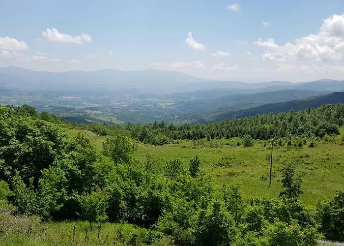 Podere Omomorto * Pratovecchio