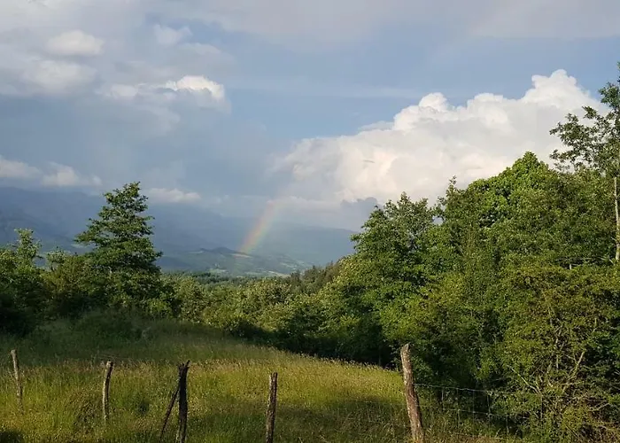 Podere Omomorto Pratovecchio