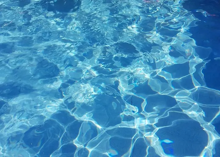 Podere Omomorto Gospodarstwo agroturystyczne