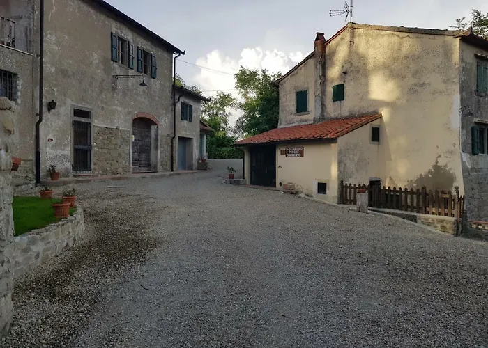 Podere Omomorto Gospodarstwo agroturystyczne